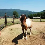 El Ciabot * Villar San Costanzo